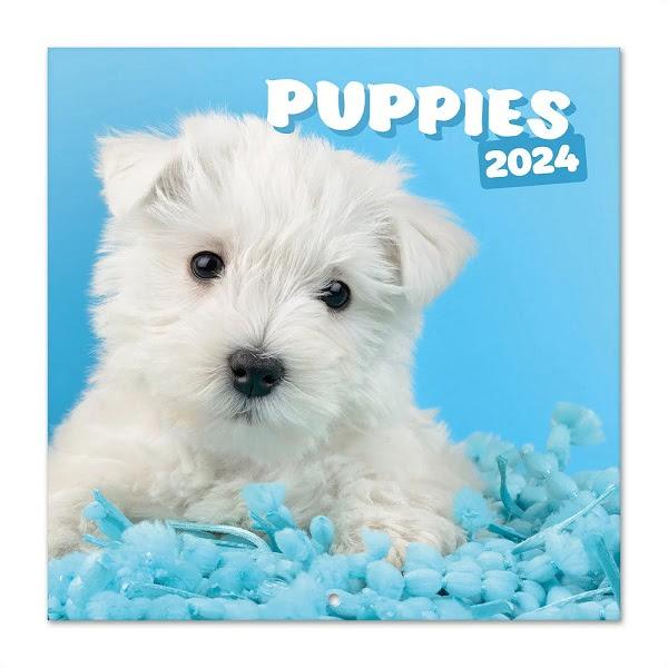 Puppies - Kiskutyás falinaptár 2024