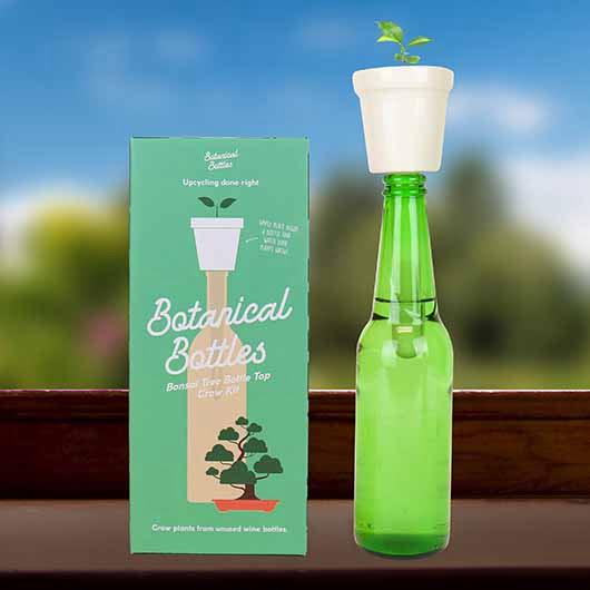 Botanikus palack - Nevelj saját Bonszait