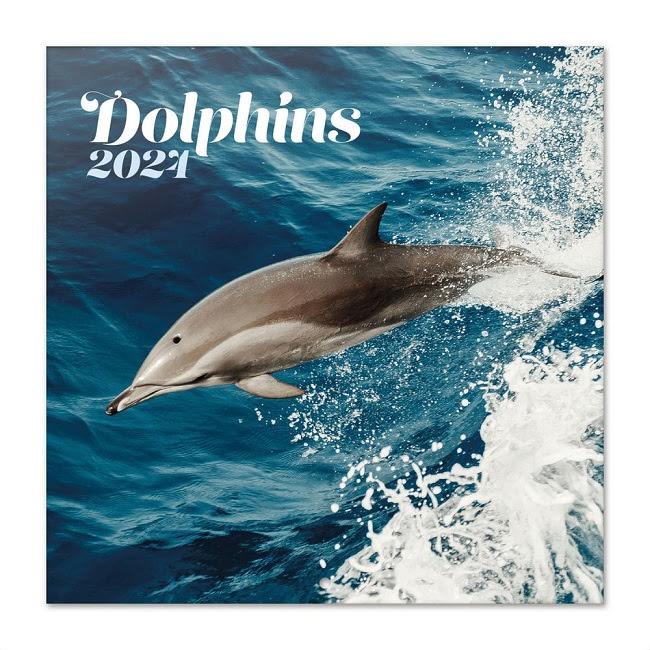 Dolphins - Delfines falinaptár 2024