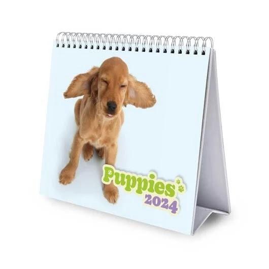 Puppies - Kutyás Delux asztali naptár 2024