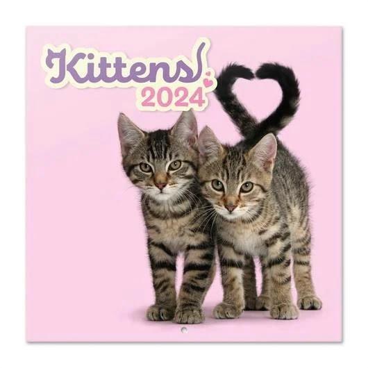 Kittens - Cuki cicás falinaptár 2024