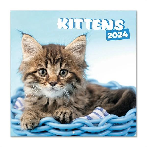 Kittens - Kiscicás falinaptár 2024